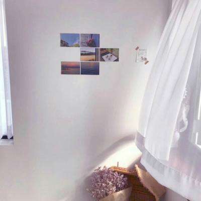 海星体育ios下载